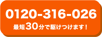 0120-316-026
